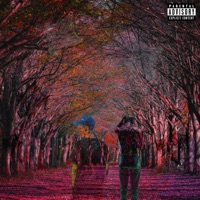 Need More (feat. Yxng Miller) - Single - Lil Navy