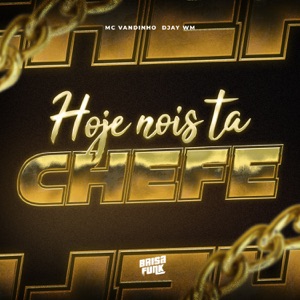 Hoje Nois Ta Chefe