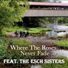 Where The Roses Never Fade (feat. The Esch Sisters) - LeRoy Stoltzfus new Song