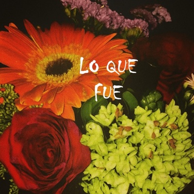 lo que fue