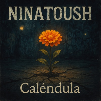 Calendula - Single