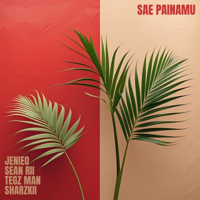 Sae Painamu (feat. Tegz Man) - Single