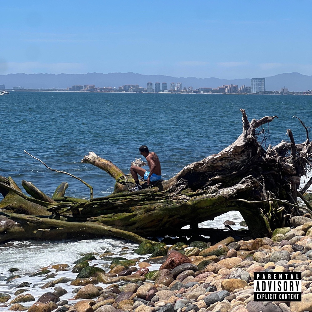 Timeless (Remix)
