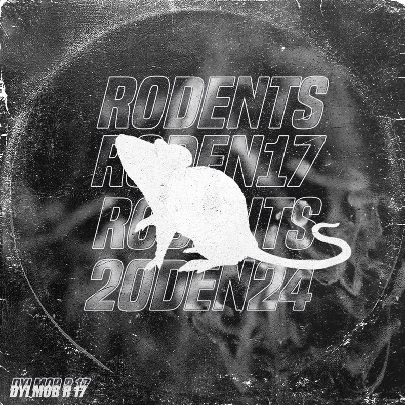 Album art for R 17-1