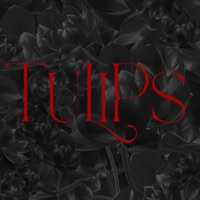 Tulips (feat. Hollywood Luck, Rhymez & KoolKM) - Single - Marquel806