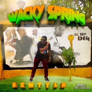 WACKY SPRING (feat. DJ MAC & CrashDummy)