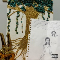 Freefall - Single - Dusty Shags