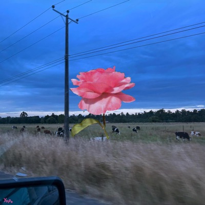 Una noche en Octay - Single