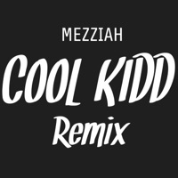 Cool Kid (DJ RDubL remix) - Single - Mezziah