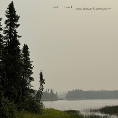 waltz in f no.1 - Single