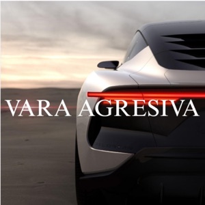 VARA AGRESIVA