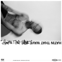 Hatin' That Wave - Single - Skinny Million$