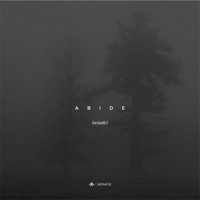 Abide (Acoustic) - Single - Dwell Songs & Aaron Williams