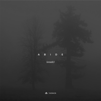 Abide (Acoustic) - Single