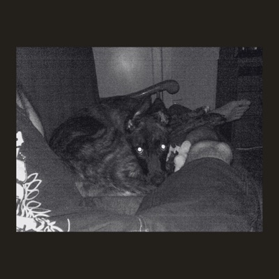 Riqueza en la inopia - Single