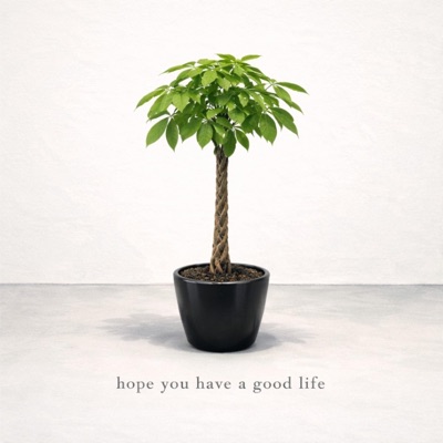 hope you have a good life (feat. RC) - Single