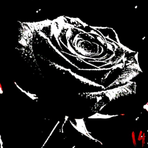 Amandote - Single