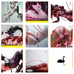 Ran Slavin - tell//me//now (ft rycon)