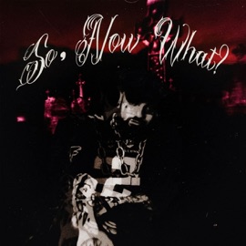 EVERYTHING IS BROKEN Ak3k