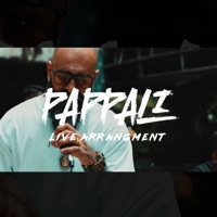 PAPPALI LIVE ARRANGEMENT (feat. SHEEZAY) [Live] - Single - WE THE PHUNK