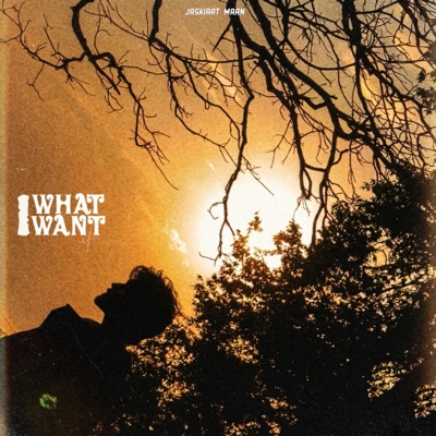 what i want - Single