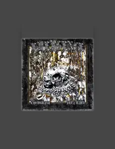 ZETA MARU을(를) 듣고, 뮤직 비디오를 보고, 약력을 읽고, 투어 일정 등을 확인하세요!