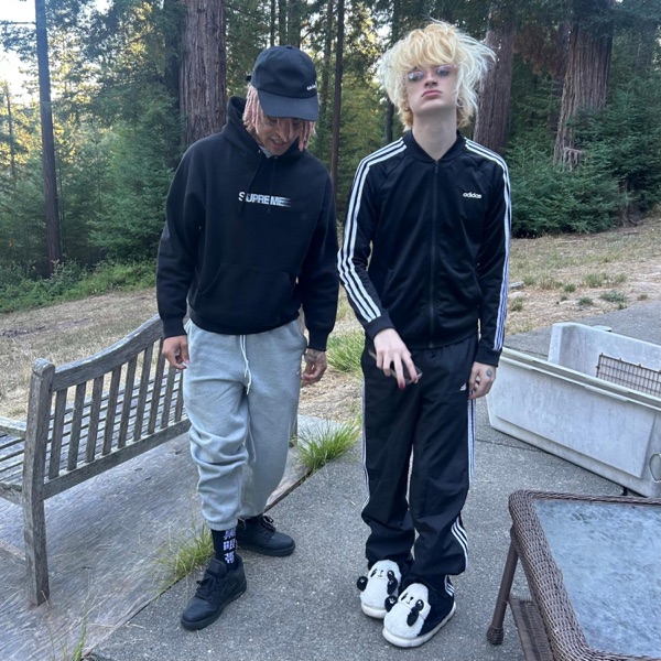 goin mental (feat. 9aradox)