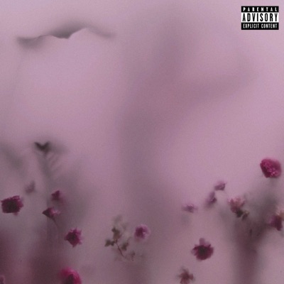 LO QUE HICIMOS - Single