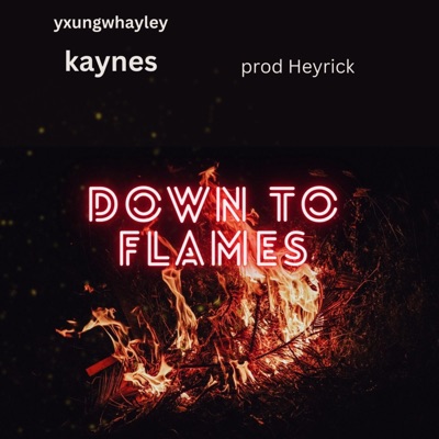 Down To Flames (feat. Kaynes) - Single