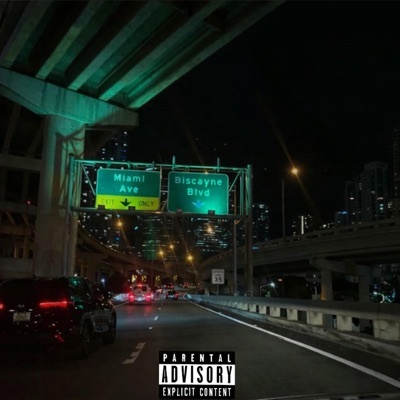 Miami Went Wrong - Single