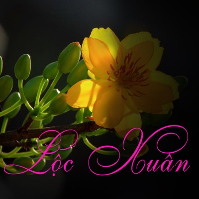 Lộc Xuân