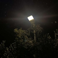 Lights out - Single - Svar