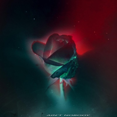 Ain't Nobody - Single