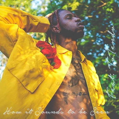 How it Sounds to be Seen (feat. TVTENDV) - Single