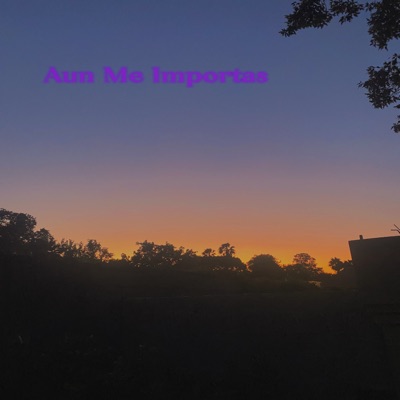 Aun Me Importas