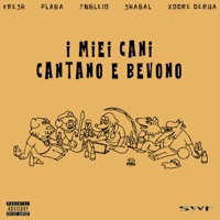 I MIEI CANI CANTANO E BEVONO (feat. Plaga, Xodre Derua, Shagal & YngLeio) - Single - SWF