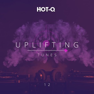 Bipolar (Harmonic Wave Radio Remix)