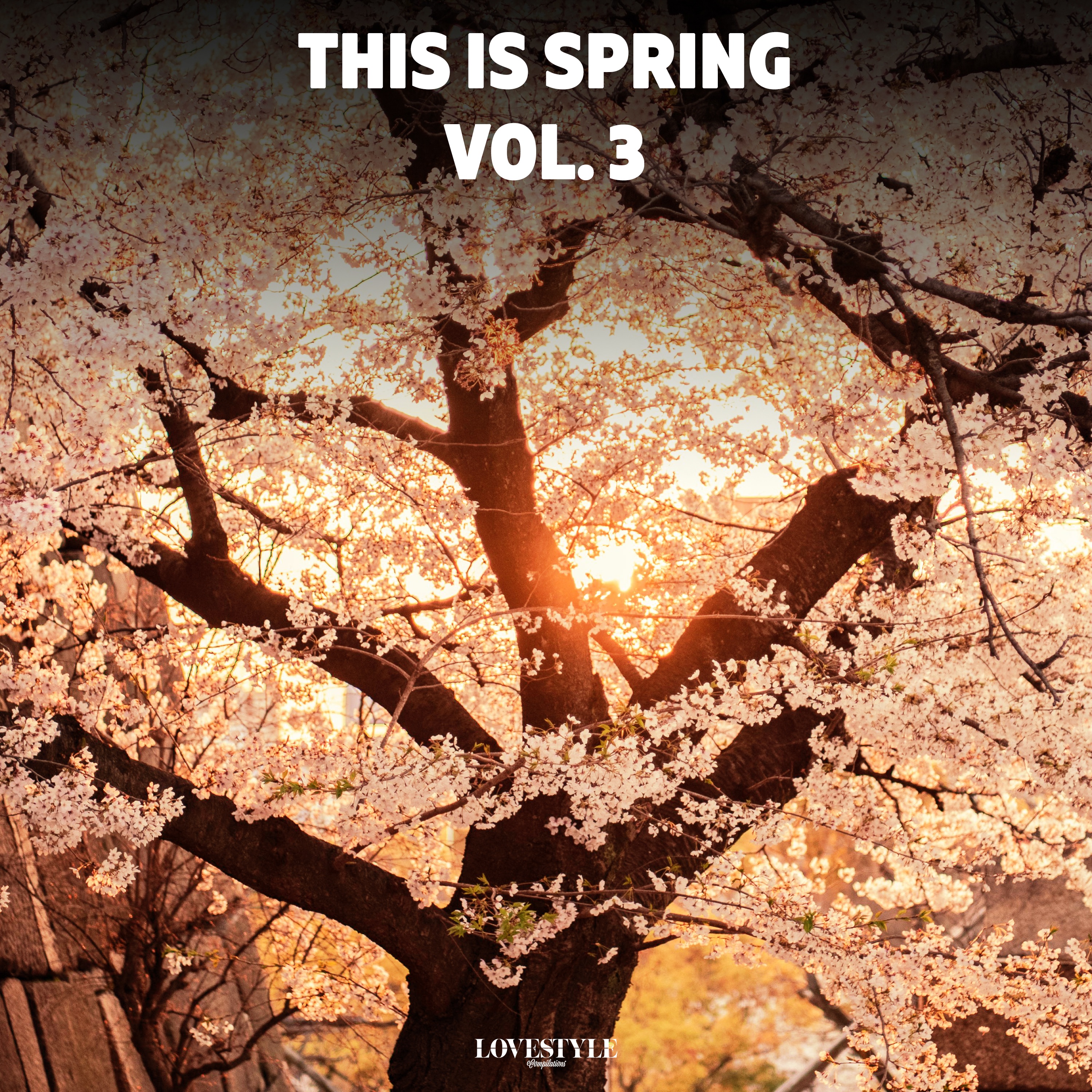 This Is Spring Vol. 3