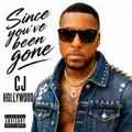 Since you've been gone