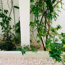 Bad Touch Flip (feat. Vizcor) CATVLYST