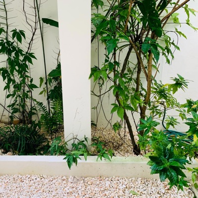 Bad Touch Flip (feat. Vizcor) - Single