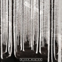 Black Winter - Always November