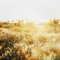 Magic Fields - Nathaniel Keys lyrics
