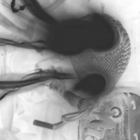 F**k (Sped Up and Slowed) - Single - r1ske archive