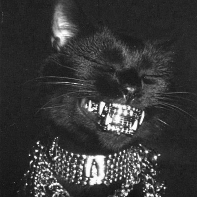 It's Embarrassing. - Single