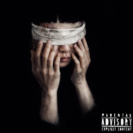 SÖS (feat. faust) Zahnyx!