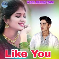 Like You - Single - Hemant Gurjar
