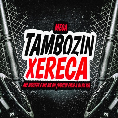Mega Tambozin Xereca - Single