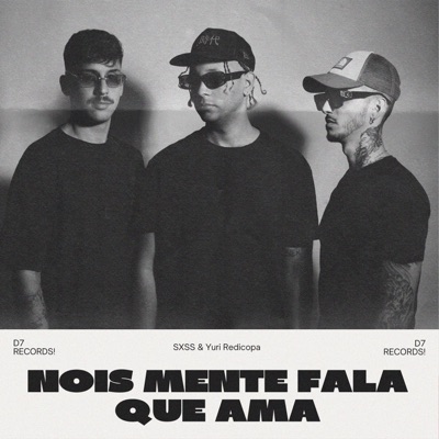 Nois Mente Fala Que Ama - Single