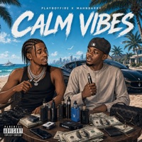 Calm Vibes (feat. Mahn Barry) - Single - Playboyfire